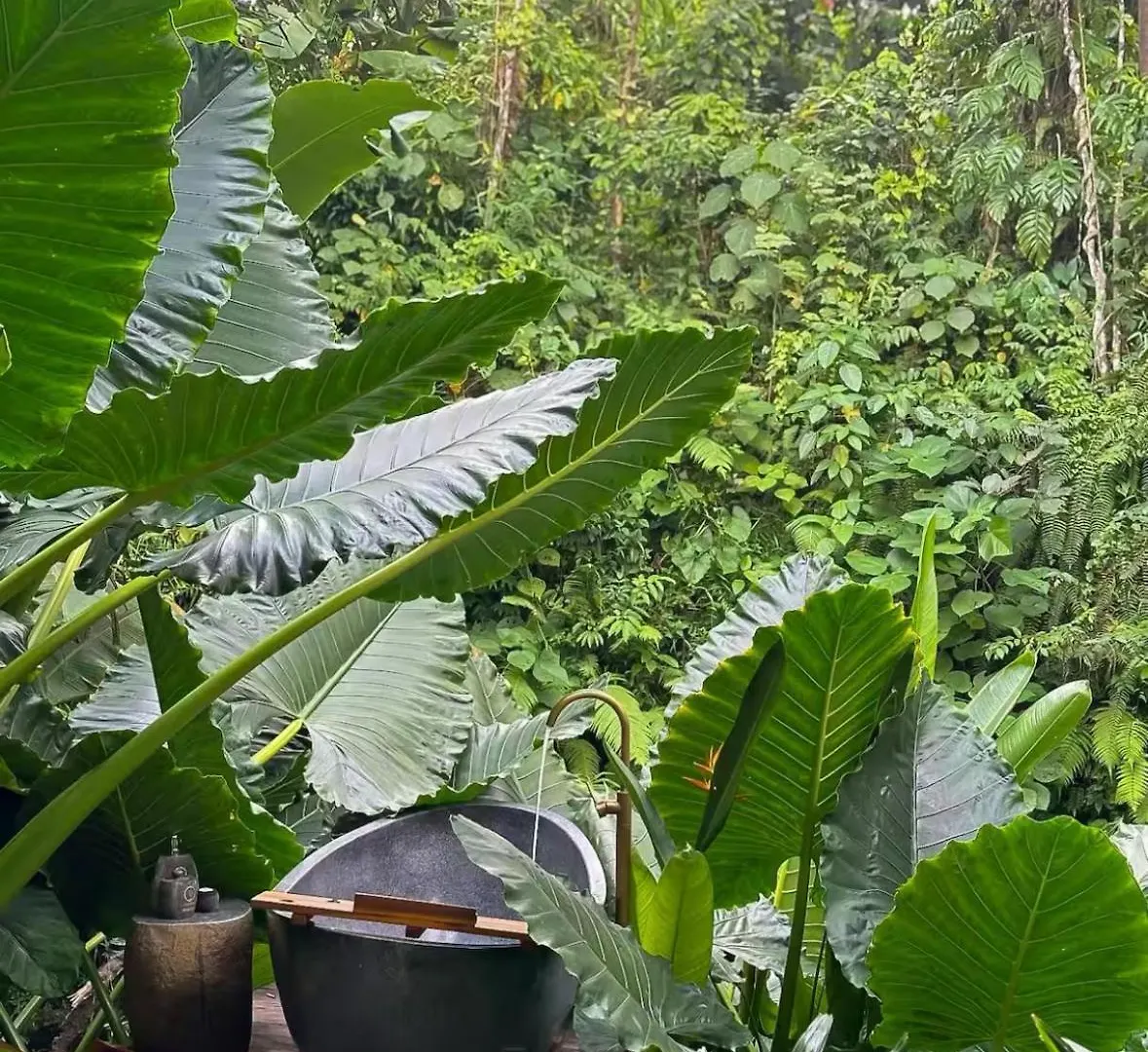 Wahem Eco Bamboo - Magical Bamboo House Ubud Bali Villa